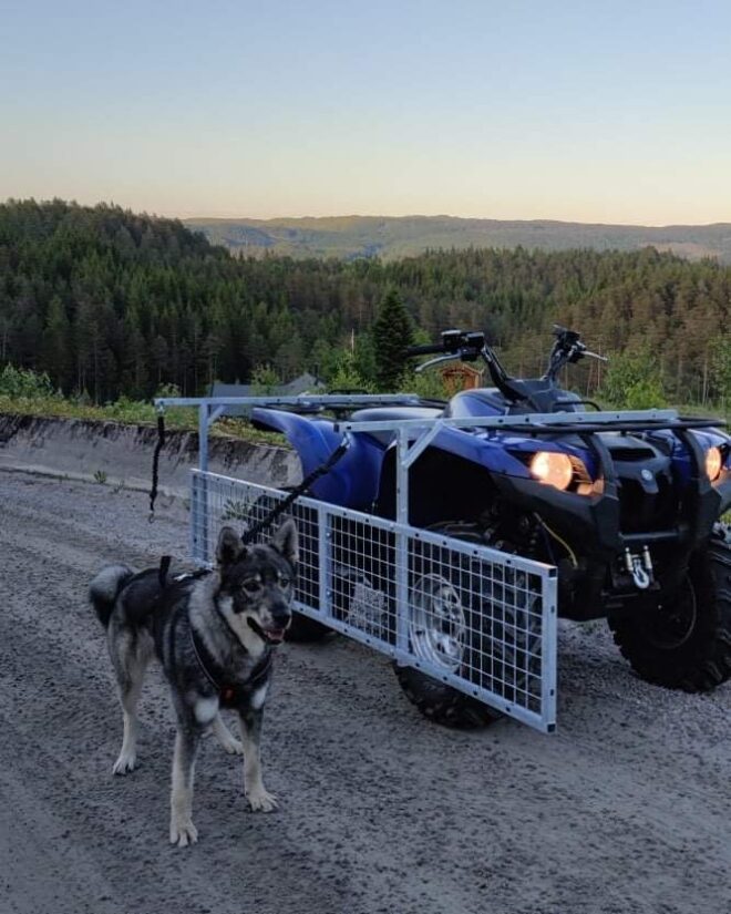 ATV Hundträning